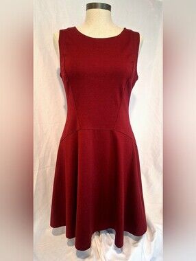 Massimo Sleeveless Burgundy Fit & Flare Mini Dress